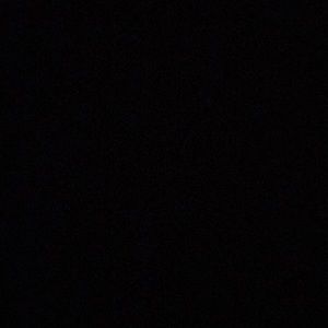 Meet your Posher, Lily